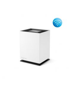 Stadler Form NOAH okos...