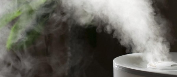 Így varázsolhat illóolajokkal szerelmes hangulatot lakásába