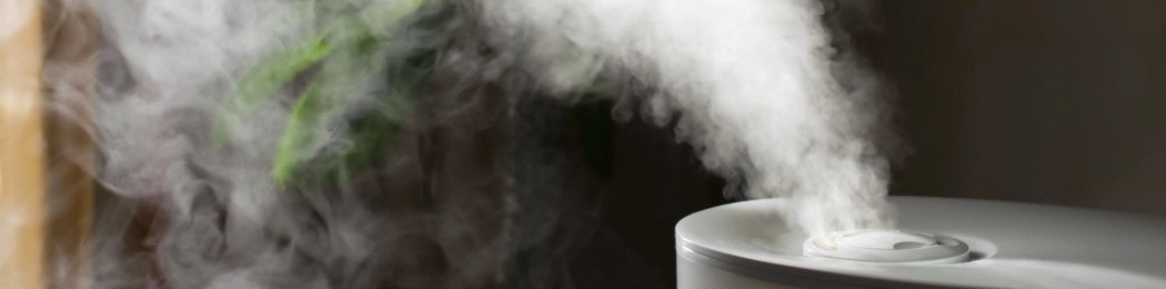 Így varázsolhat illóolajokkal szerelmes hangulatot lakásába